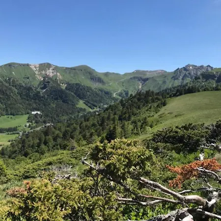 Διαμέρισμα Spacieux Duplex 3 Pieces Avec Balcon Et Parking Privatif - Fr-1-608-161 Le Mont-Dore